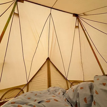 Lyxtält Big Tent With Real Beds And Ocean View