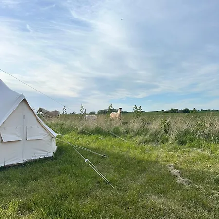 Big Tent With Real Beds And Ocean View * Stege