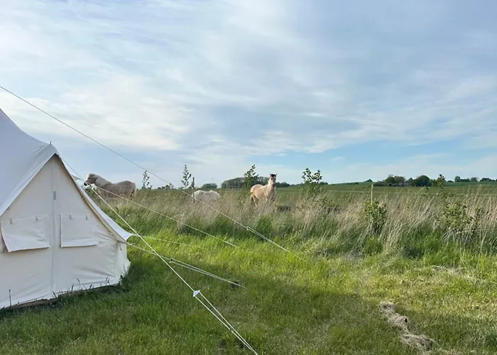 Big Tent With Real Beds And Ocean View * 斯泰厄